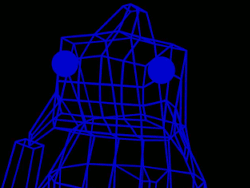 Wireframe carp standing
