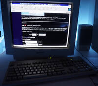 Razorback on Windows for Workgroups 3.11, showing comment section in an article